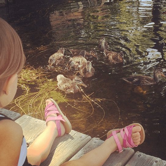 Screen Shot 2014-01-08 at 5.52.21 PM