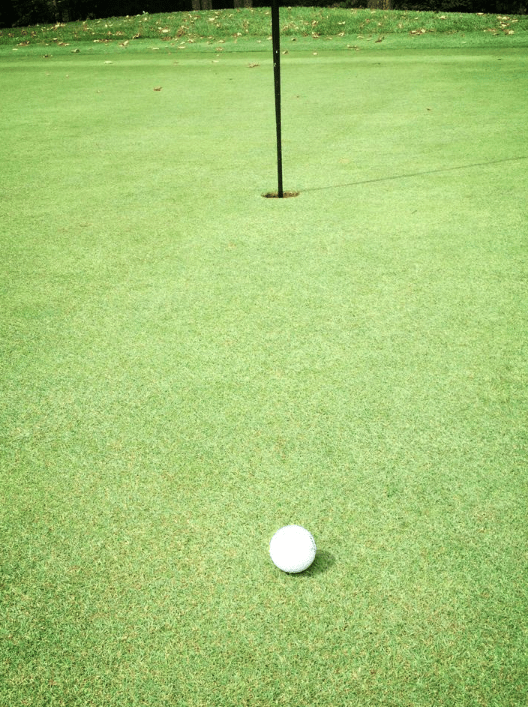 Screen Shot 2014-01-13 at 1.32.32 PM