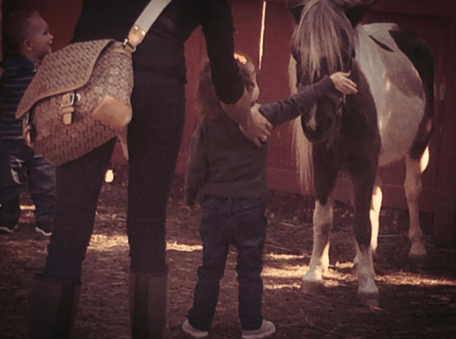 Screen Shot 2014-01-13 at 2.23.37 PM