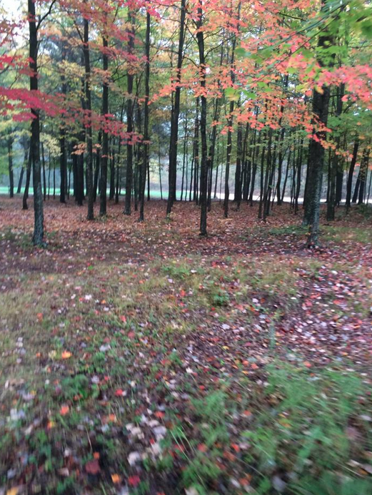 Screen Shot 2014-01-13 at 2.56.32 PM