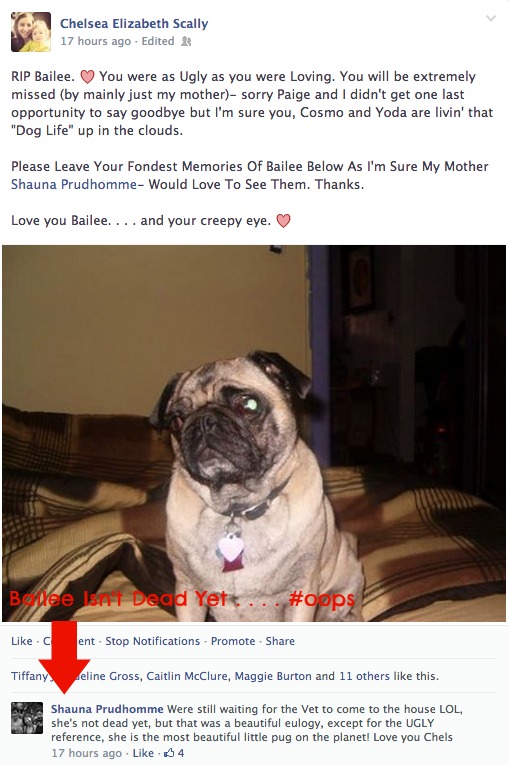 Screen Shot 2014-02-18 at 11.13.44 AM