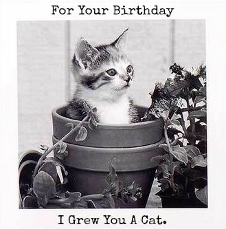 For Your Birthday I Grew You A Cat.jpg