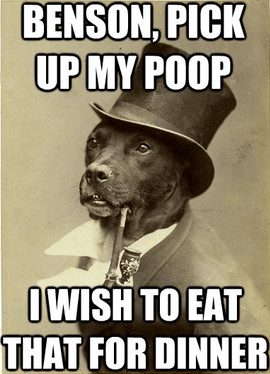 Screen Shot 2014-04-02 at 11.53.18 AM